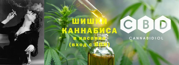 стаф Надым
