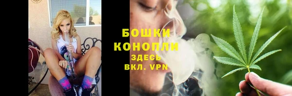 стаф Надым