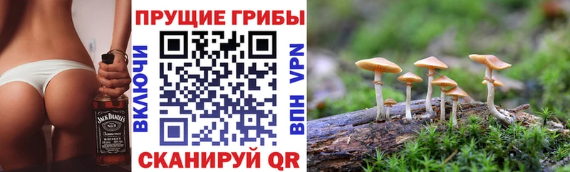 Галлюциногенные грибы Psilocybe  Тетюши 